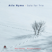 Album artwork for Atle Nymo - Solo For Trio 