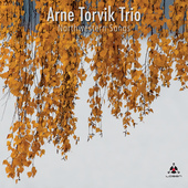 Album artwork for Arne Torvik Trio - Northwestern Songs 