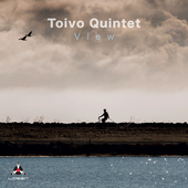 Album artwork for Toivo Quintet - View 