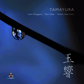 Album artwork for Karin Nakagawa & Hans Tutzer & Paolino Dalla Porta