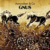 Album artwork for Asmundsen & Co - GNUS 