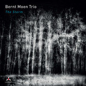 Album artwork for Bernt Moen Trio - The Storm 