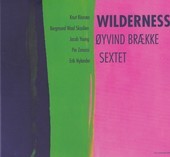 Album artwork for Oyvind Braekke - Wilderness 