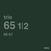 Album artwork for Trio 65 1/2
