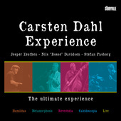 Album artwork for The Ultimate Experience