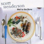 Album artwork for Scott Henderson - Well To The Bone 
