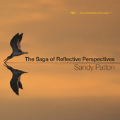 Album artwork for SAGA OF REFLECTIVE PERSPECTIVE