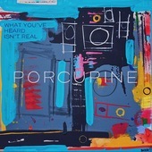 Album artwork for Porcupine - What You've Heard Isn't Real 