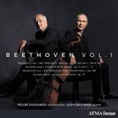 Album artwork for Beethoven complete Sonatas and Variations for Cell