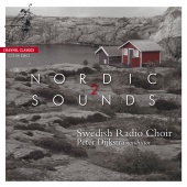 Album artwork for Nordic Sounds 2 / Dijkstra