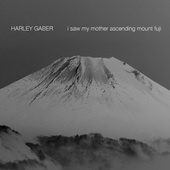 Album artwork for Harley Gaber: I saw my mother ascending mount fuji