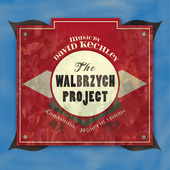 Album artwork for David Kechley: The Walbrzych Project