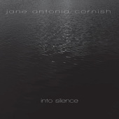 Album artwork for Into Silence
