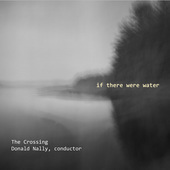 Album artwork for If There Were Water