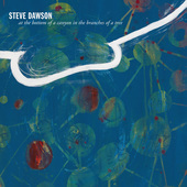 Album artwork for Steve Dawson - At The Bottom Of A Canyon In The Br