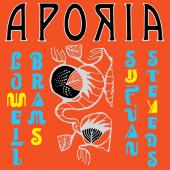 Album artwork for Aporia -  Sufjan Stevens