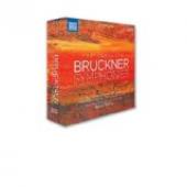Album artwork for Bruckner: Complete Symphonies - Tintner