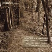 Album artwork for SCHNITTKE: CONCERTO FOR CHOIR; VOICE OF NATURE; PA