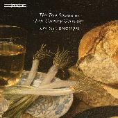 Album artwork for The Trio Sonata in 17th-CenturyGermany