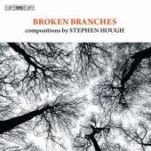 Album artwork for Hough: Broken Branches