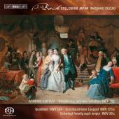 Album artwork for J. S. Bach - Secular Cantatas, Volume 3
