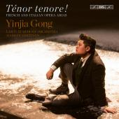 Album artwork for Tenor Tenore! French and Italian Arias / Gong