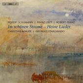 Album artwork for Im schönen Strome: Heine Lieder