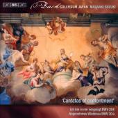 Album artwork for J.S. Bach: Secular Cantatas, Vol. 10