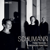 Album artwork for Schumann: Piano Trios, Vol. 1