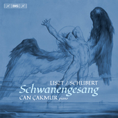 Album artwork for Liszt: Schubert - Schwanengesang - Valses oubliée