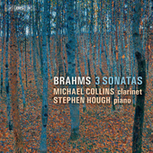 Album artwork for Brahms: 3 Sonatas