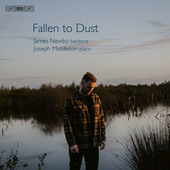 Album artwork for Fallen to Dust