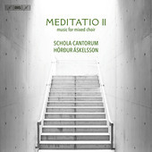 Album artwork for Meditatio II
