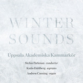 Album artwork for Winter Sounds