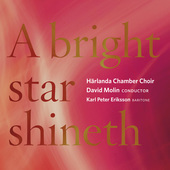 Album artwork for A Bright Star Shineth