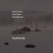 Album artwork for Tantum