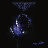 Album artwork for Priest - New Flesh 