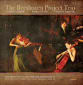 Album artwork for The Beethoven Project Trio