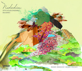 Album artwork for Nedudim