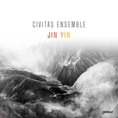 Album artwork for Jin Yin