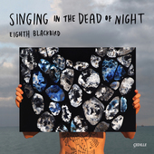 Album artwork for Singing in the Dead of Night