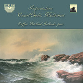 Album artwork for Staffan Biörklund-Jullander: Improvisations, Conc