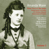 Album artwork for V3: AMANDA MAIER