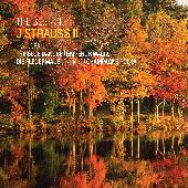 Album artwork for The Best Of Johann Strauss II