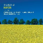 Album artwork for The Best of Haydn