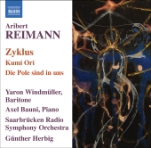 Album artwork for REIMANN: ZYKLUS / KUMI ORI / DIE POLE SIND IN UNS