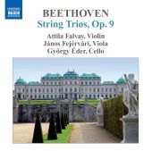 Album artwork for Beethoven: String Trios Op. 9