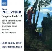 Album artwork for Pfitzner: Complete Lieder, Vol. 2