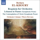 Album artwork for REQUIEM FOR ORCHESTRA / LEBANON IN FLAMES / THE CO