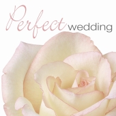 Album artwork for PERFECT WEDDING